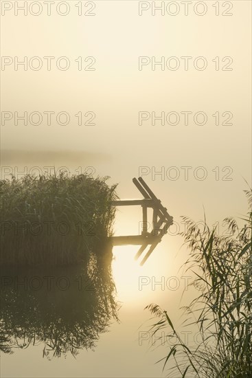 Sunrise and morning fog, Geroldsee or Wagenbruechsee, Kruen near Mittenwald, Werdenfelser Land, Upper Bavaria, Bavaria, Germany, Europe