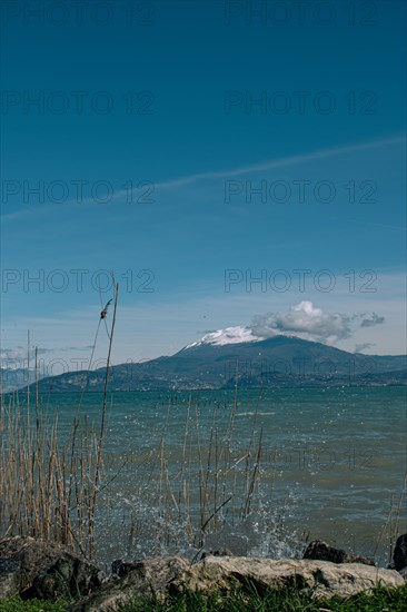 View over Lake Garda to snow-covered mountains with reeds in the foreground under a clear blue sky, Sirmione, Lake Garda, Italy, Europe