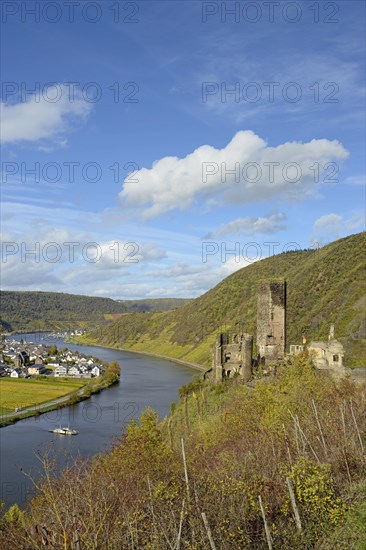 View of the ruins of Metternich Castle near Beilstein and the wine village of Ellenz-Poltersdorf, Ellenz district, blue cloudy sky, Moselle, Rhineland-Palatinate, Germany, Europe