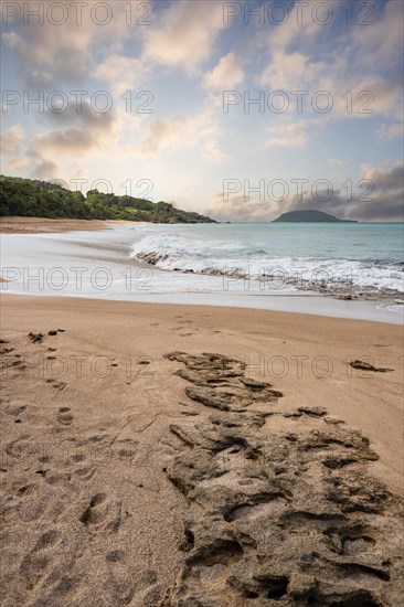 Lonely, wide sandy beach with turquoise-coloured sea. Tropical plants in a bay at sunset in the Caribbean. Plage de Cluny, Basse Terre, Guadeloupe, French Antilles, North America