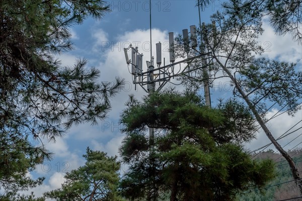 Cellphone tower behind pine trees with beautiful cloudy blue sky in background in South Korea