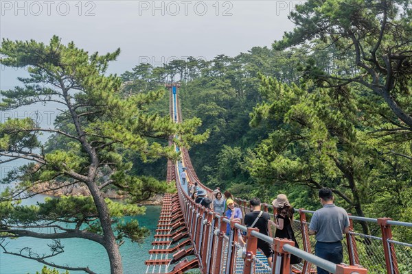 Visitors walk across a scenic suspension bridge along a lush coastal landscape, in Ulsan, South Korea, Asia