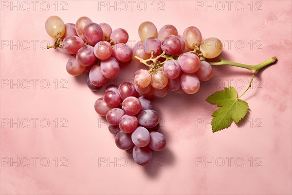 Bunch of grapes on pink background. KI generiert, generiert, AI generated