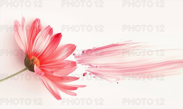 A lone brush stroke creating a chamomile petal. Pastel pink paint stroke and pink flower on white background AI generated