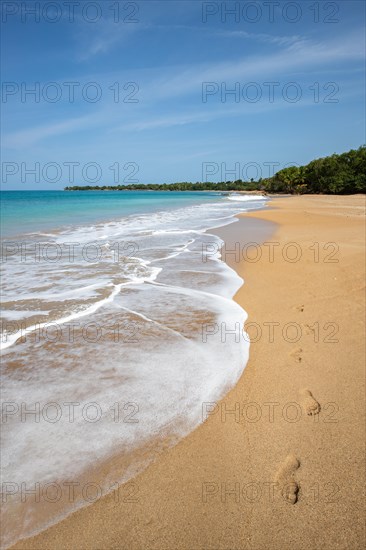 Lonely, wide sandy beach with turquoise-coloured sea. Tropical plants in a bay in the Caribbean sunshine. Plage de Cluny, Basse Terre, Guadeloupe, French Antilles, North America