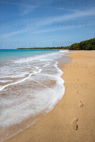 Lonely, wide sandy beach with turquoise-coloured sea. Tropical plants in a bay in the Caribbean sunshine. Plage de Cluny, Basse Terre, Guadeloupe, French Antilles, North America