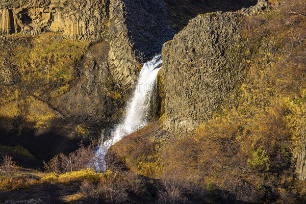 Small foaming waterfall cascading from a rock face, in the evening light, Sudurland, Iceland, Europe