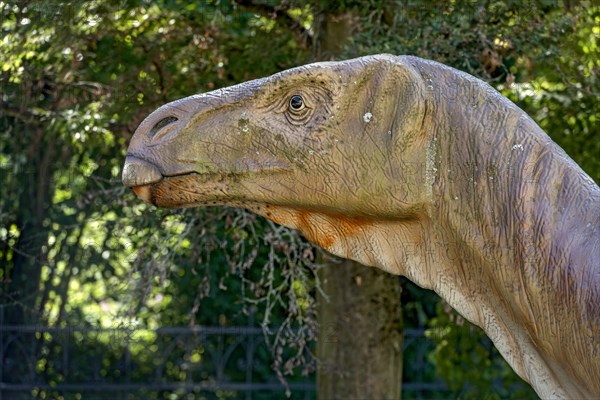 Dinosaur Iguanodon, iguana tooth, life-size replica in the garden in front of Hermann Hoffmann Academy, Justus Liebig University JLU, Old Town, Giessen, Giessen, Hesse, Germany, Europe