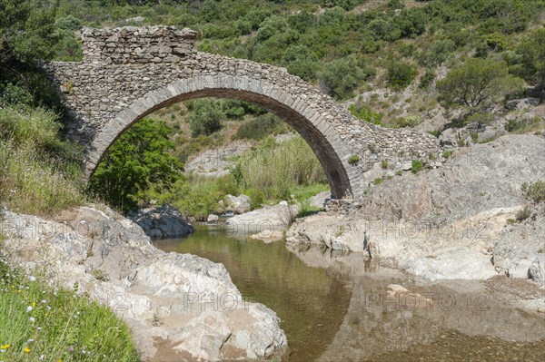 Historic arch bridge Le Pont des Fees over the river La Garde, Grimaud-Village, Var, Provence-Alpes-Cote d'Azur, France, Europe