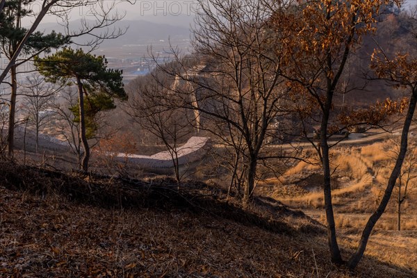 Section of mountain fortress wall behind leafless trees on top on winter morning with clear blue sky in background in Boeun, South Korea, Asia