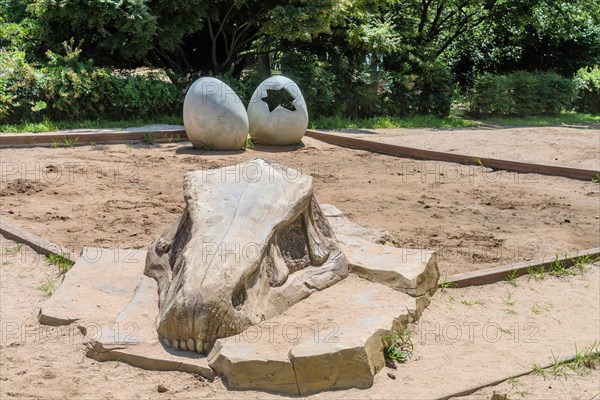 A dinosaur skull and egg replicas in a sandbox, offering an educational play space, in Ulsan, South Korea, Asia