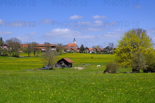 Reichling, Pfaffenwinkel, Upper Bavaria, Bavaria, Germany, Europe