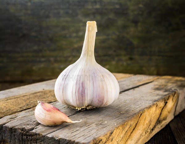 Food, spice, garlic, a whole garlic bulb next to a single clove on a rustic wooden surface, AI generated, AI generated