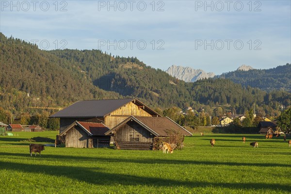 Hay barn with meadow and Karwendel mountains in the evening light, Garmisch-Partenkirchen, Werdenfelser Land, Upper Bavaria, Bavaria, Germany, Europe