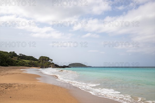 Lonely, wide sandy beach with turquoise-coloured sea. Tropical plants in a bay in the Caribbean sunshine. Plage de Cluny, Basse Terre, Guadeloupe, French Antilles, North America