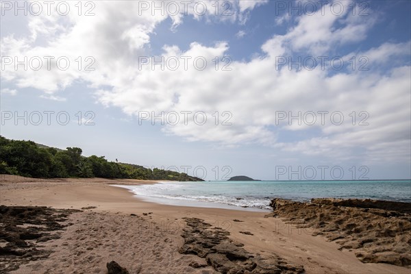 Lonely, wide sandy beach with turquoise-coloured sea. Tropical plants in a bay in the Caribbean sunshine. Plage de Cluny, Basse Terre, Guadeloupe, French Antilles, North America