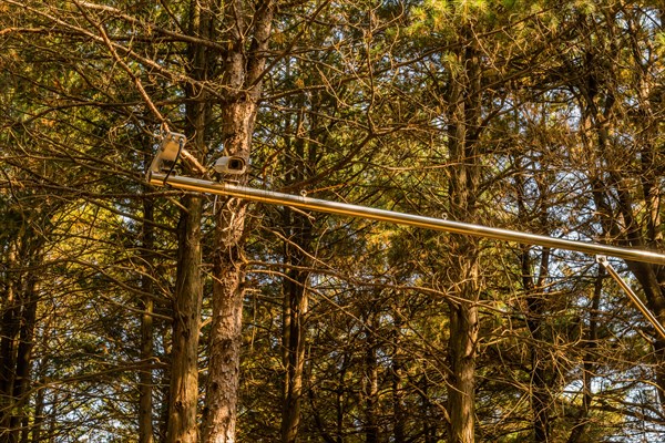 Two closed circuit cameras on chrome metal bar in front of stand of trees in South Korea