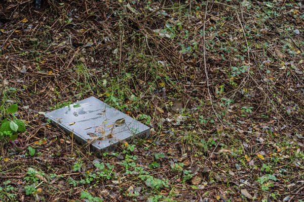 A discarded metal sheet lies in a forest, symbolizing waste and environmental concern, in South Korea