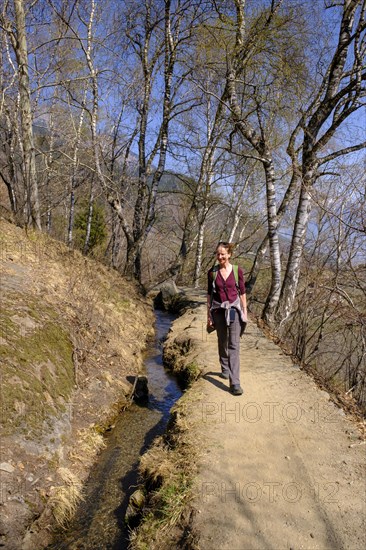 Partschinser Waalweg, Partschinser Sagenweg, Partschins, Vinschgau Valley, South Tyrol, Italy, Europe