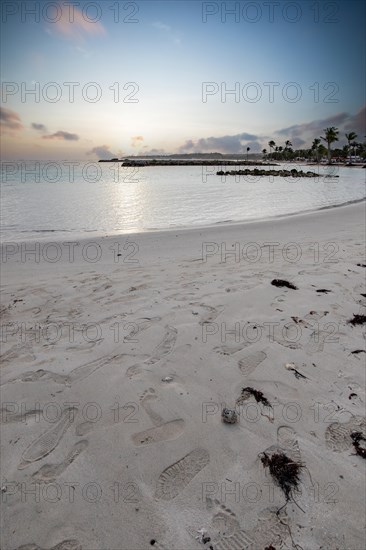 Caribbean dream beach with palm trees, white sandy beach and turquoise-coloured, crystal-clear water in the sea. Shallow bay at sunset. Plage de Sainte Anne, Grande Terre, Guadeloupe, French Antilles, North America