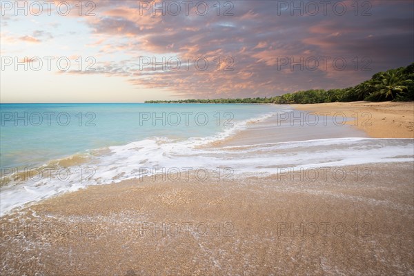 Lonely, wide sandy beach with turquoise-coloured sea. Tropical plants in a bay at sunset in the Caribbean. Plage de Cluny, Basse Terre, Guadeloupe, French Antilles, North America