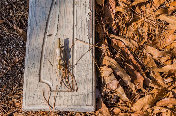 Sunlight casts shadows on a wooden board amidst fallen leaves, in South Korea