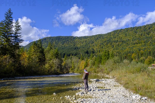 Hiker at the Jachen, Jachenau, Toelzer Land, Upper Bavaria, Bavaria, Germany, Europe