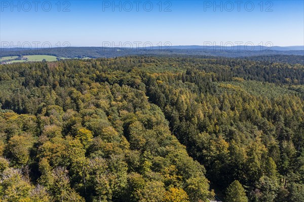 Forest, Spessart Hochstrasse, near Heigenbruecken Spessart, Lower Franconia, Franconia, Bavaria, Germany, Europe