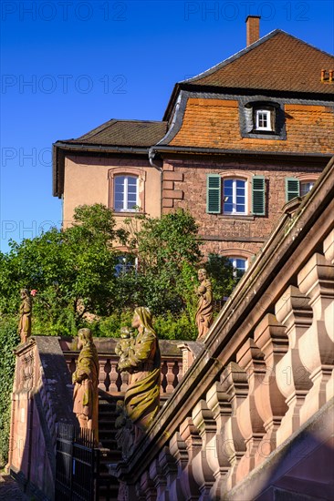 Amorbach Monastery, Mainfranken, Lower Franconia, Franconia, Bavaria, Germany, Europe