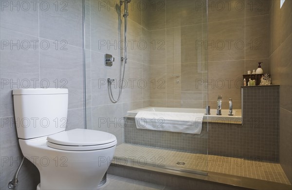 White porcelain toilet and bathtub in glass shower stall in guest bathroom with grey ceramic tile floor and wall on upstairs floor inside modern cubist style home, Quebec, Canada, North America