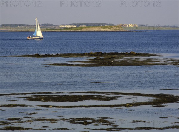 A sailing boat glides on calm seawater off a rocky coastline under a clear blue sky Ireland Galway