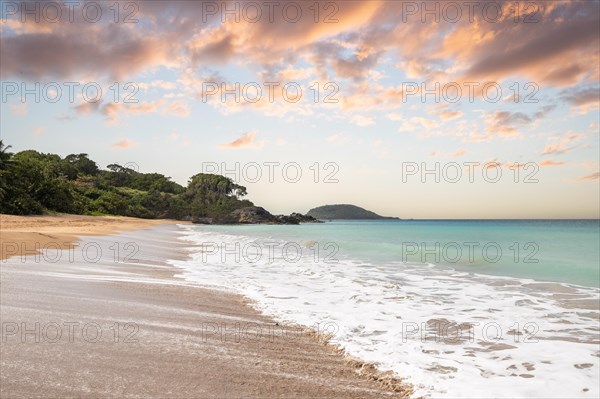 Lonely, wide sandy beach with turquoise-coloured sea. Tropical plants in a bay at sunset in the Caribbean. Plage de Cluny, Basse Terre, Guadeloupe, French Antilles, North America