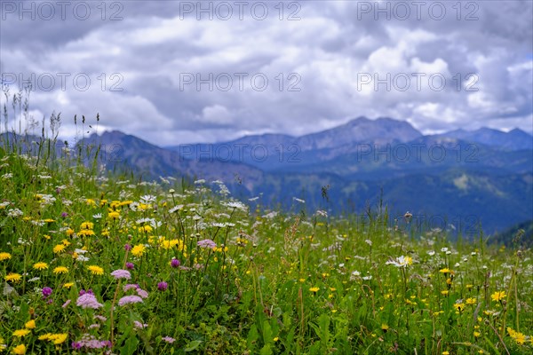 Stuempflingalmen on the way to Rosskopf, Rosskopf, Spitzingsee area, Bavarian local mountains, Alps, Upper Bavaria, Bavaria, Germany, Europe