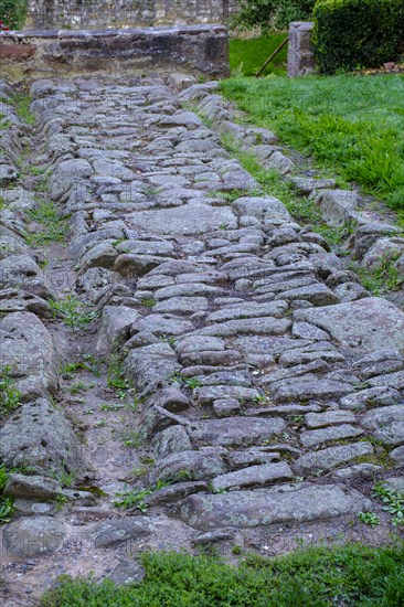 Replica of the via Regia, Steinau an der Strasse, Hesse, Germany, Europe