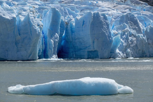 Glacier, floating ice, Lago Grey, Torres del Paine National Park, Parque Nacional Torres del Paine, Cordillera del Paine, Towers of the Blue Sky, Region de Magallanes y de la Antartica Chilena, Ultima Esperanza Province, UNESCO Biosphere Reserve, Patagonia, End of the World, Chile, South America