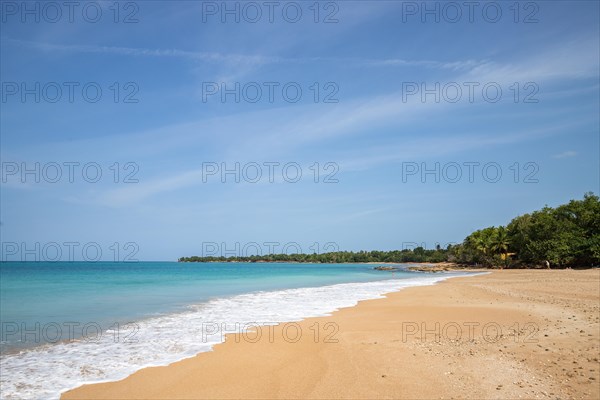 Lonely, wide sandy beach with turquoise-coloured sea. Tropical plants in a bay in the Caribbean sunshine. Plage de Cluny, Basse Terre, Guadeloupe, French Antilles, North America