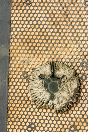 Weathered thermal paste on a CPU, with a golden circuit board background, in South Korea