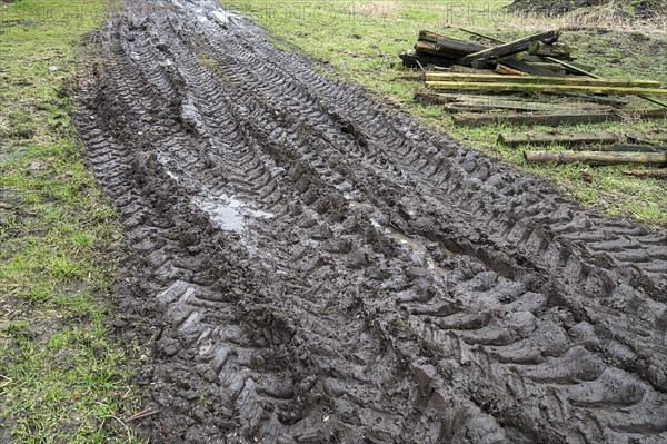 Tractor tyre tracks in softened soil on a farm, Mecklenburg-Vorpommern, Germany, Europe