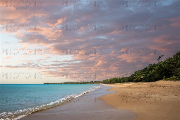 Lonely, wide sandy beach with turquoise-coloured sea. Tropical plants in a bay at sunset in the Caribbean. Plage de Cluny, Basse Terre, Guadeloupe, French Antilles, North America