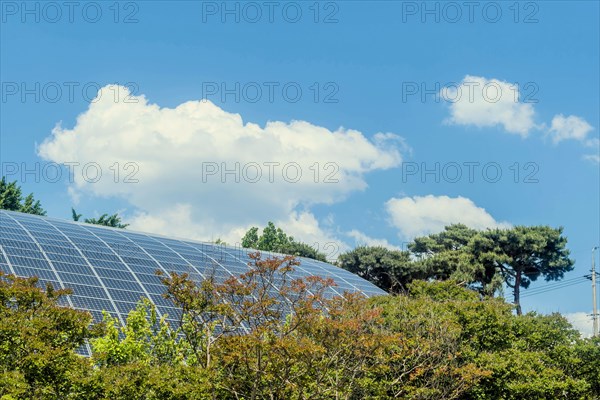 Solar panels peeking above autumn-colored treetops against a backdrop of blue sky and white clouds, in South Korea