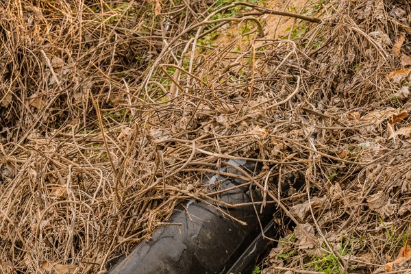 A worn and abandoned tire half-buried in grassy surroundings, in South Korea