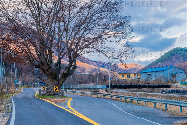 A winding road flanked by bare trees in a rural setting during evening, in South Korea