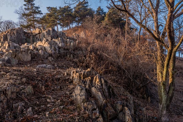 Large craggy boulders on mountainside with evergreen trees on top in background in Boeun, South Korea, Asia