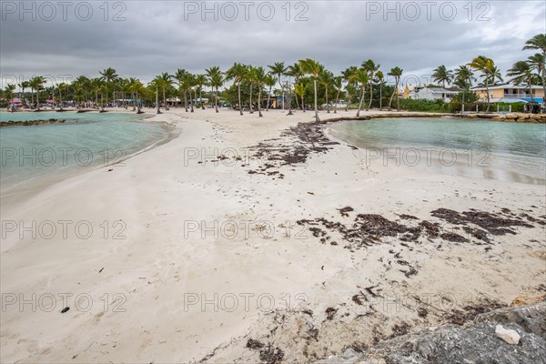 Caribbean dream beach with palm trees, white sandy beach and turquoise-coloured, crystal-clear water in the sea. Shallow bay on a cloudy day. Plage de Sainte Anne, Grande Terre, Guadeloupe, French Antilles, North America