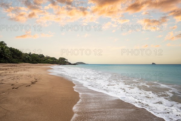 Lonely, wide sandy beach with turquoise-coloured sea. Tropical plants in a bay at sunset in the Caribbean. Plage de Cluny, Basse Terre, Guadeloupe, French Antilles, North America