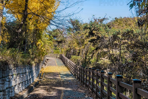 A tranquil pathway bordered by a wooden fence and stone wall with fallen leaves, in South Korea