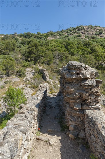 Historic arch bridge Le Pont des Fees with partially preserved water conduit, Grimaud-Village, Var, Provence-Alpes-Cote d'Azur, France, Europe