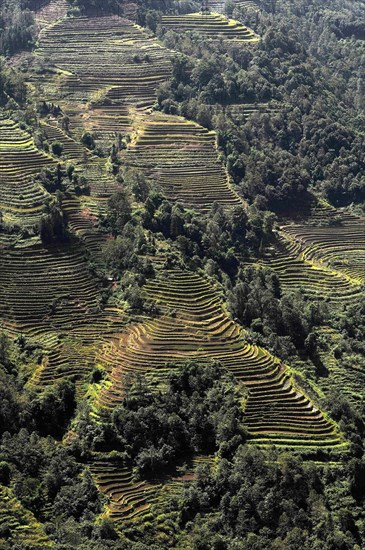 Yuanyang rice terrace, china