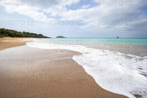 Lonely, wide sandy beach with turquoise-coloured sea. Tropical plants in a bay in the Caribbean sunshine. Plage de Cluny, Basse Terre, Guadeloupe, French Antilles, North America