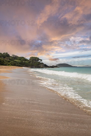 Lonely, wide sandy beach with turquoise-coloured sea. Tropical plants in a bay at sunset in the Caribbean. Plage de Cluny, Basse Terre, Guadeloupe, French Antilles, North America